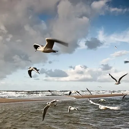 Chata Aida Letniskowe - 5 Min Od Morza - Plac Zabaw & Animacje Dla Dzieci *